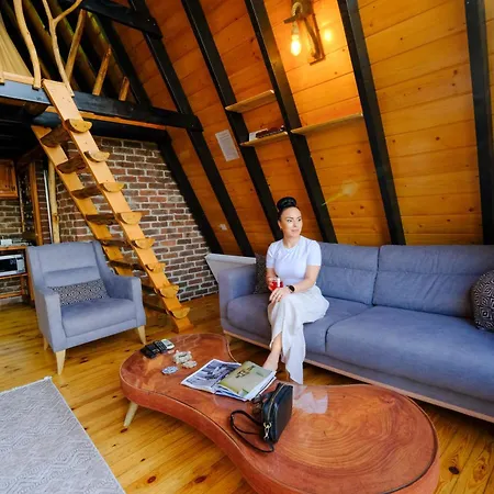 Sapancakelebekvadibungalov Alpstuga *